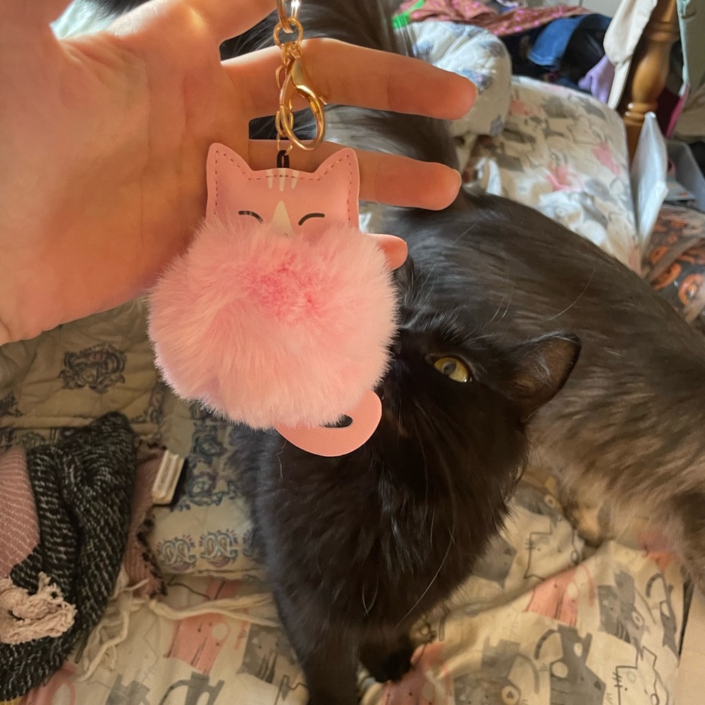 NIB Plush Cat Keychain Bag Charm